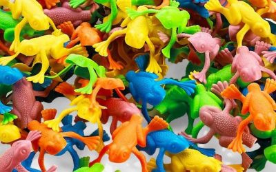 Real Joy and Plastic Frogs