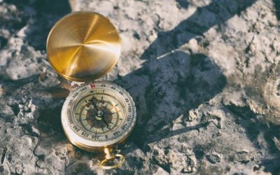 Our Moral Compass
