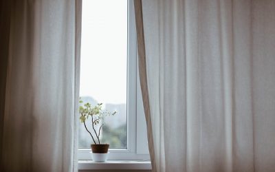 Why Do We Need Window Shades?
