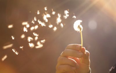Hope Against Hope
