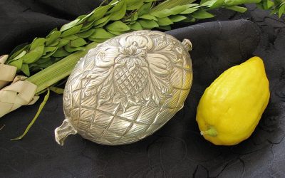 The Four Species and the Unity of Israel