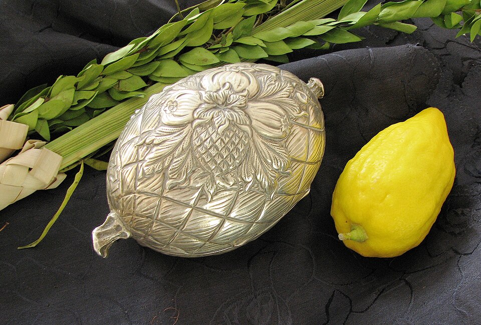 Etrog in a silver box with a lulav