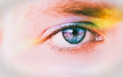 In the Mind’s Eye