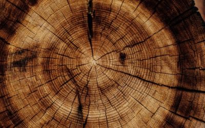 Against the Grain