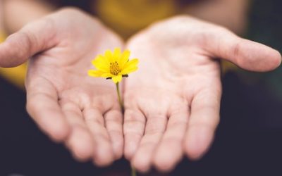 A Voluntary Offering, and a Second Chance