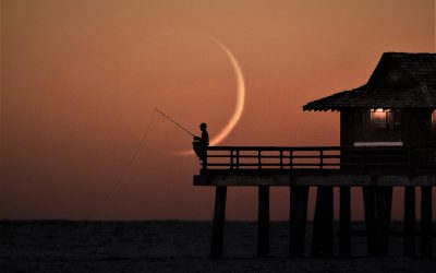 The New Moon With In Sight