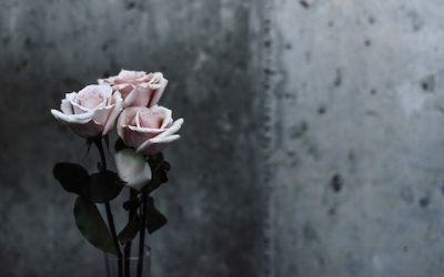 Love Beyond Limits