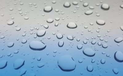 Tears of Connection