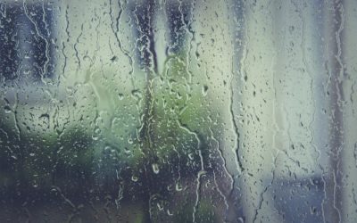 Sukkos in the Rain